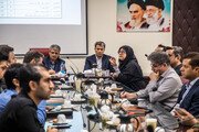 برگزاری نشست تخصصی «اقتصاد در صنایع‌دستی» در دانشگاه بیرجند