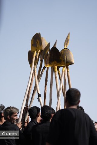 بیل زنی