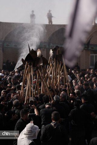 بیل زنی
