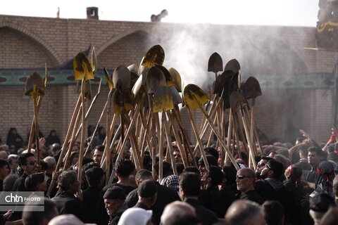 بیل زنی