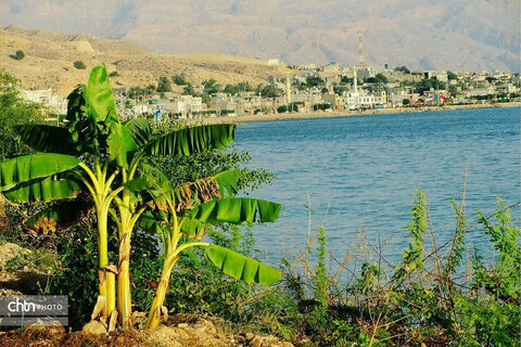 سیراف شهری ست که موج‌های ساحلش در گوش تاریخ، قصه های هزارساله را زمزمه می کند.