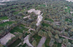 جالق شهری در میان نخلستان‌هایی بسیار بزرگ و سرسبز