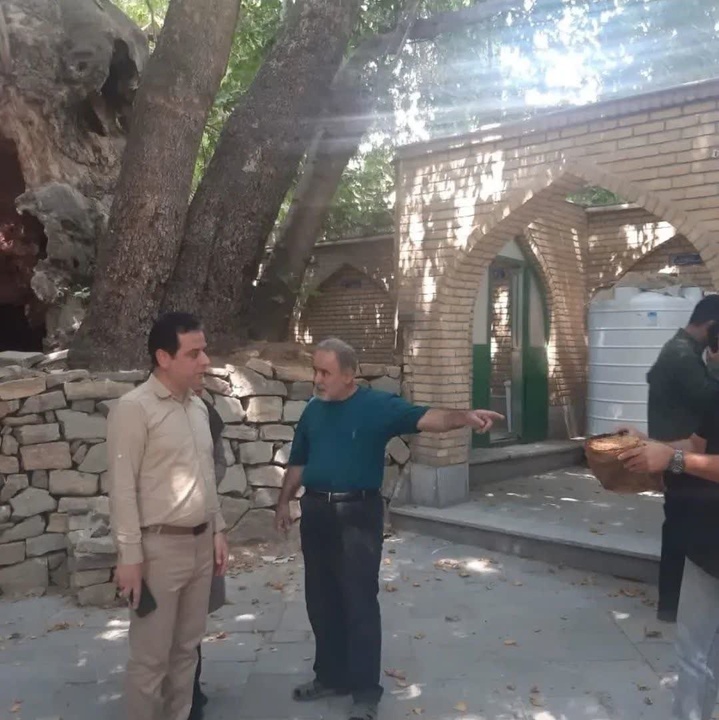 برغان در مسیر ثبت جهانی دهکده‌های جهانی گردشگری قرار دارد/ احیای درخت کهنسال برغان در حال اجراست