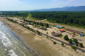 شناسایی ۵۲۴ هکتار از اراضی ساحلی گیلان برای جنگل کاری