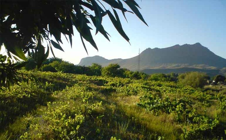 جاذبه‌های گردشگری منطقه شرا: گنجینه‌ای از زیبایی‌های طبیعی و تاریخی در استان مرکزی