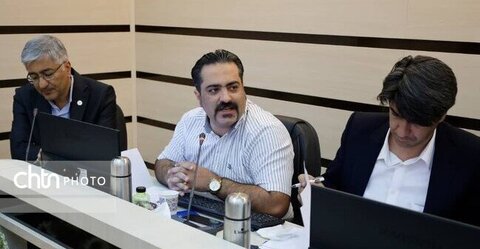 فرش چهارمحال و بختیاری قابلیت عرضه به گردشگران خارجی را دارد