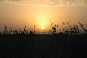 سمنان؛ سرزمین شگفتی‌ها در گذرگاه جنگل تا کویر