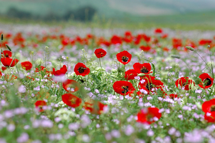 طبیعت استان سمنان