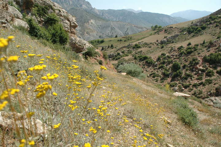 طبیعت استان سمنان