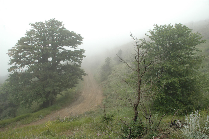 طبیعت استان سمنان