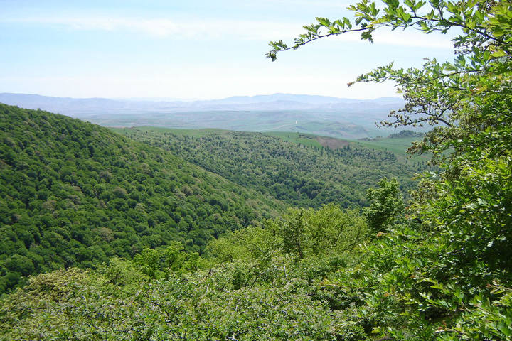 طبیعت استان سمنان