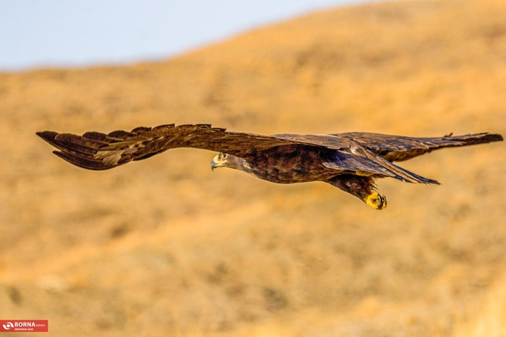 استان مرکزی