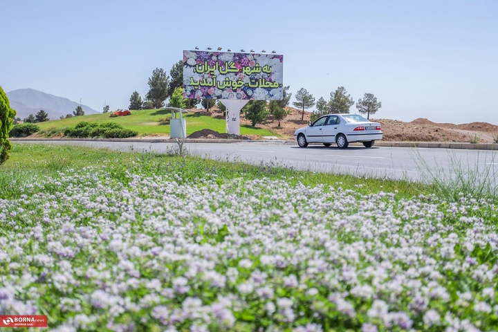 استان مرکزی