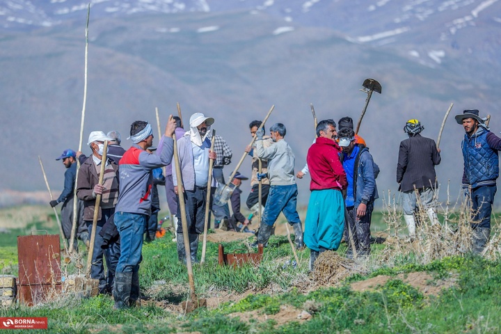 استان مرکزی