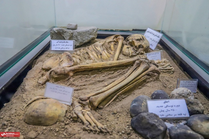 استان مرکزی