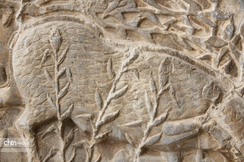 شکارگاه گوزن