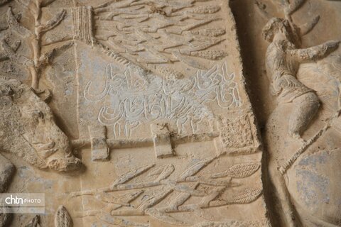 شکارگاه گوزن