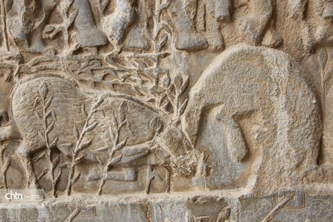 شکارگاه گوزن