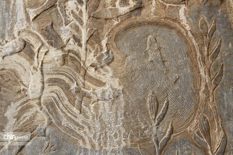 شکارگاه گوزن