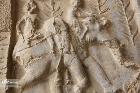 شکارگاه گوزن