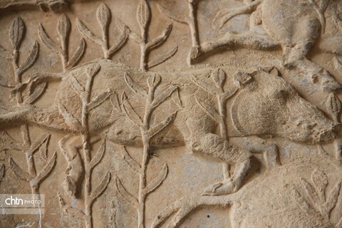 شکارگاه گوزن