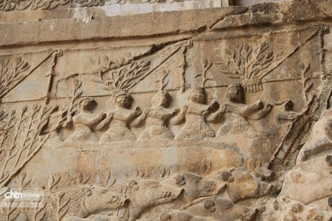 شکارگاه گوزن