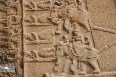 شکارگاه گوزن