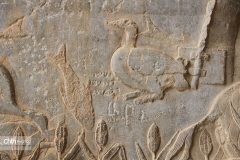 شکارگاه گوزن