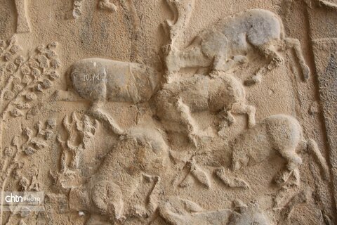 شکارگاه گوزن