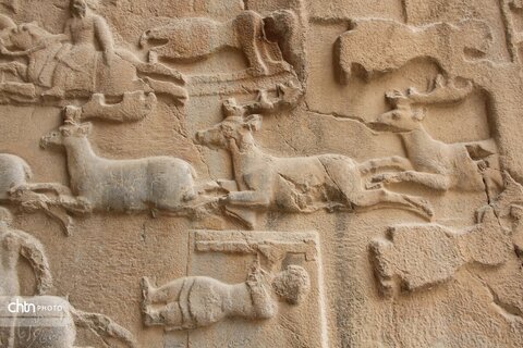 شکارگاه گوزن