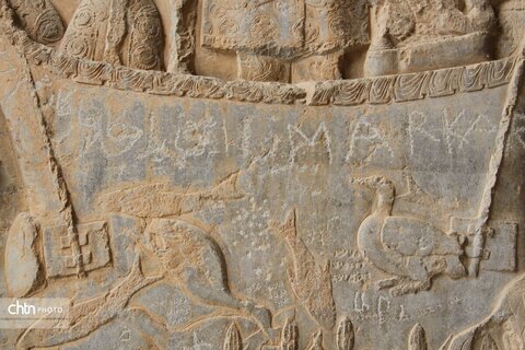 شکارگاه گوزن