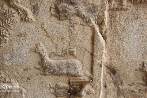 شکارگاه گوزن