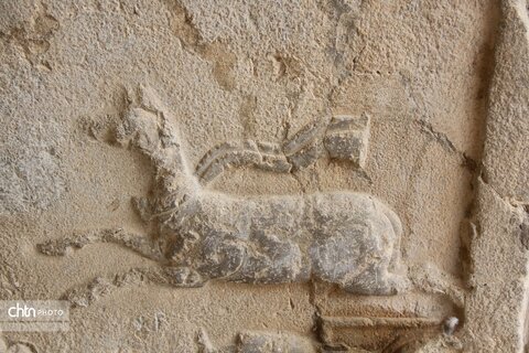 شکارگاه گوزن