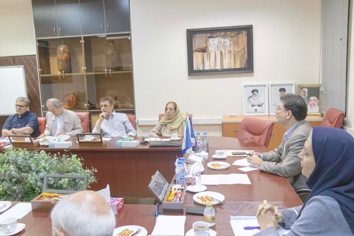 نخستین نشست کمیته مشورتی پژوهشکده زبان شناسی، کتیبه ها و متون برگزار شد/ فرهنگسازی برای انجام پژوهش‌های گروهی زبان شناسی ضرورت دارد