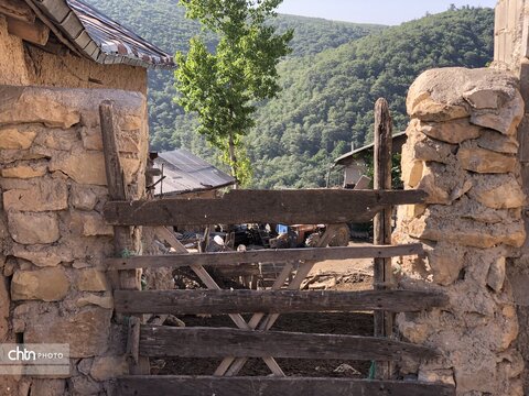سیجان