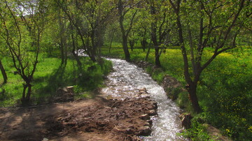 غرفه‌های صنایع‌دستی در آیین بزرگداشت شیخ اشراق سهرورد برپا خواهد شد