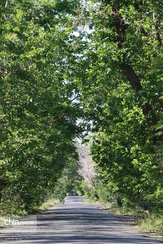 فریمان شهر اندیشهای مطهر