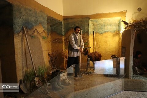 فریمان شهر اندیشهای مطهر