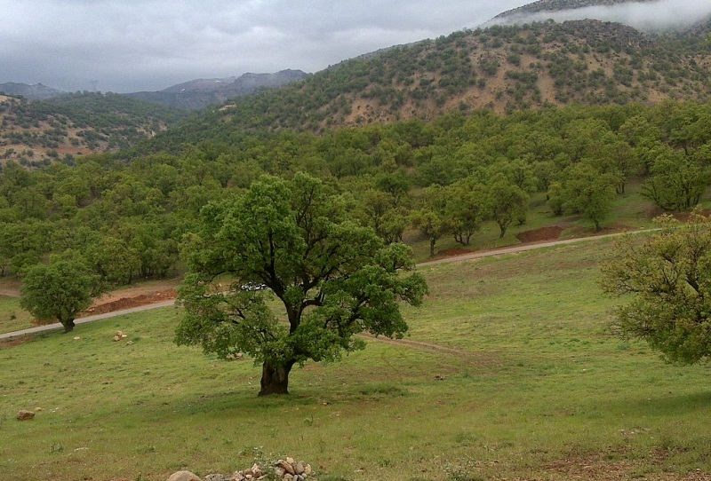 جاذبههای گردشگری پایتخت طبیعت ایران پذیرای مهمانان تابستانی/ از پارک جنگلی تا تنگ گنجهای