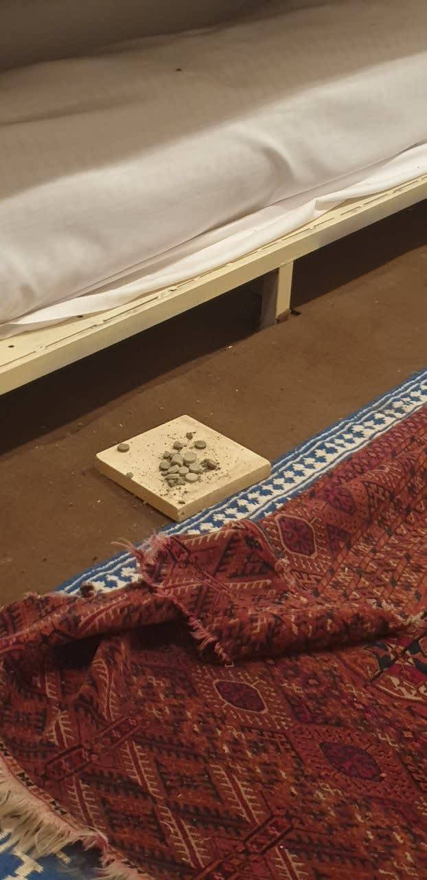 مدیریت تلفیقی آفات در مخزن فرش شهرستان میبد