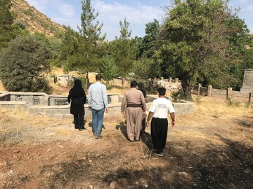 گورستان تاریخی و درختان هزارساله شمشیر پاوه ثبت ملی می‌شوند