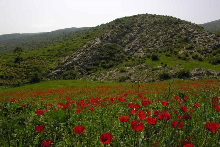 دره هاور؛ جلوهای شگفتانگیز از طبیعت بکر خراسان شمالی