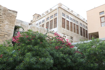 بافت تاریخی بوشهر، یعنی ترکیب زیبایی و تاریخ و معماری جنوب