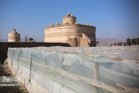 برزگترین برج های کبوتر جهان در فلاورجان
