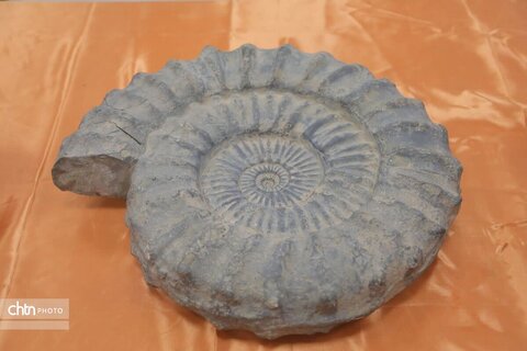 بازدید معاون وزیر میراث‌فرهنگی، گردشگری و صنایع دستی از جاذبه‌های شهرستان بهاباد