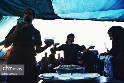 فعالیت خادمین موکب مصباح الهدی حسینیه اعظم زنجان در مسیر نجف اشرف به کربلای معلی