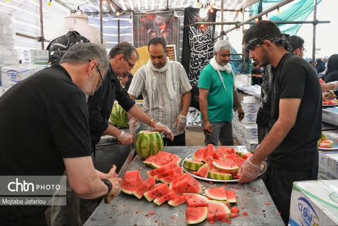 فعالیت خادمین موکب مصباح الهدی حسینیه اعظم زنجان در مسیر نجف اشرف به کربلای معلی