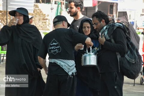 فعالیت خادمین موکب مصباح الهدی حسینیه اعظم زنجان در مسیر نجف اشرف به کربلای معلی