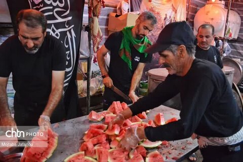 فعالیت خادمین موکب مصباح الهدی حسینیه اعظم زنجان در مسیر نجف اشرف به کربلای معلی