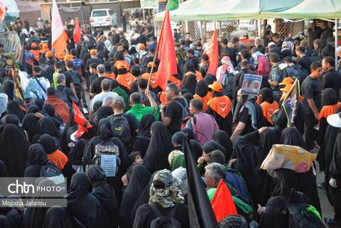 فعالیت خادمین موکب مصباح الهدی حسینیه اعظم زنجان در مسیر نجف اشرف به کربلای معلی